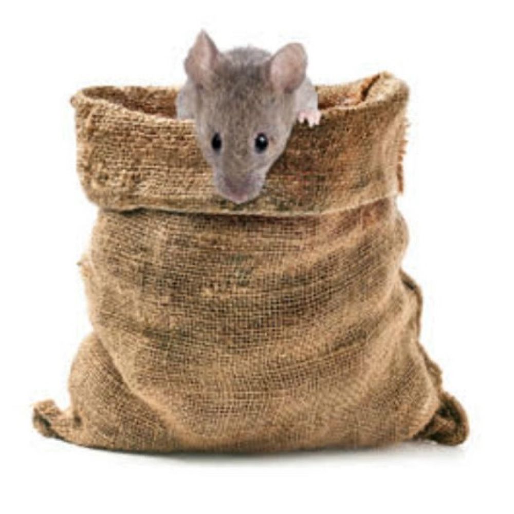 Mousesack