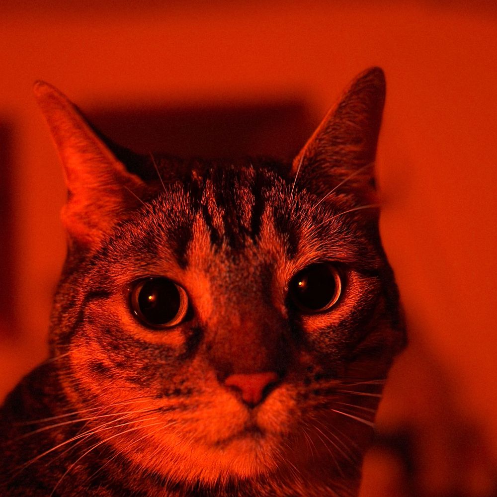 meilz 