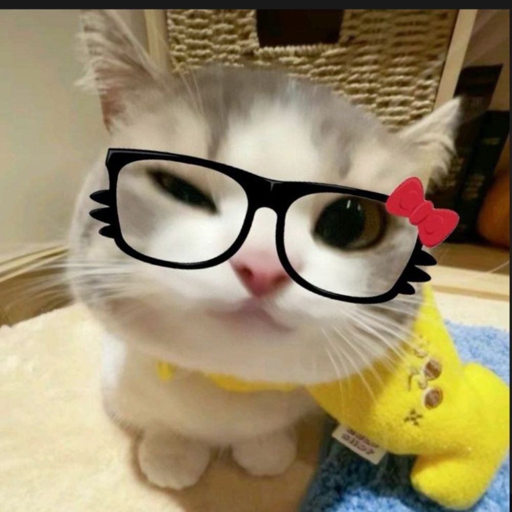 ¡sa ☮︎