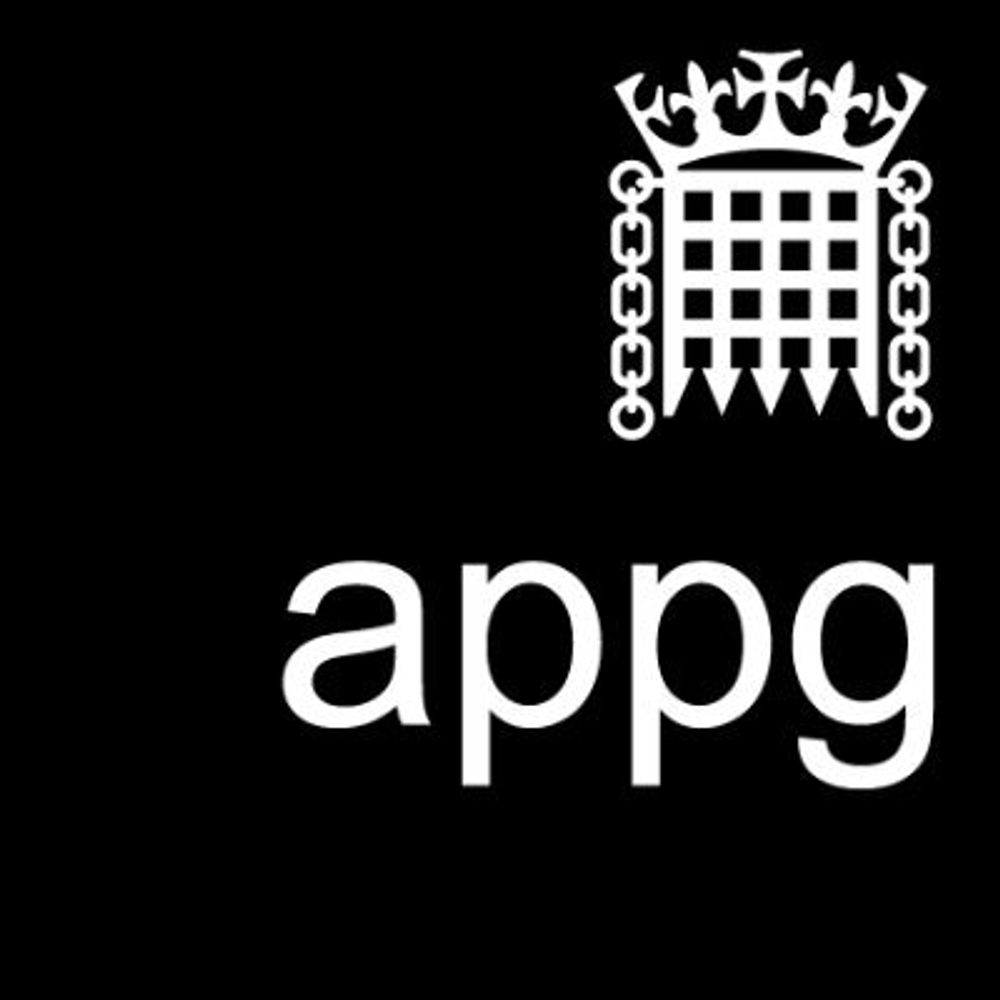APPG on Diversity & Inclusion in STEM