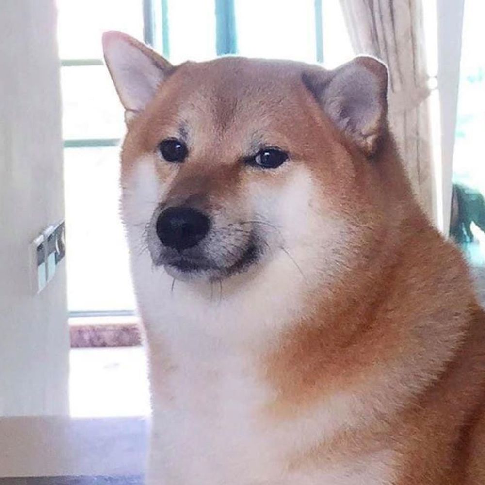 Peeperushki 🦋