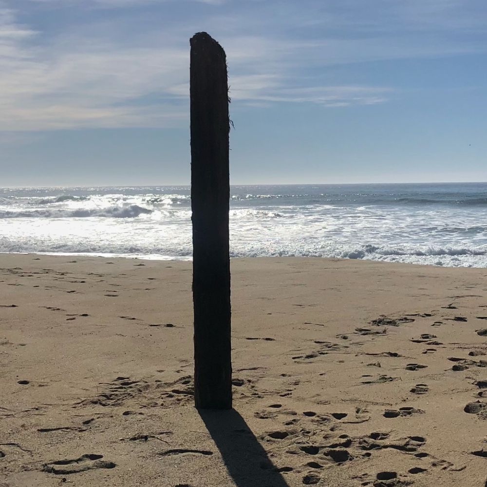 Beach Boners
