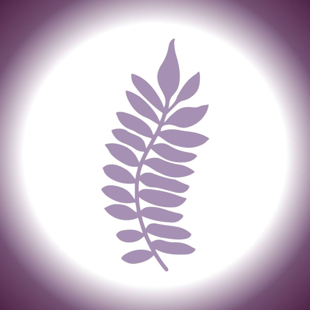 Jacaranda Books