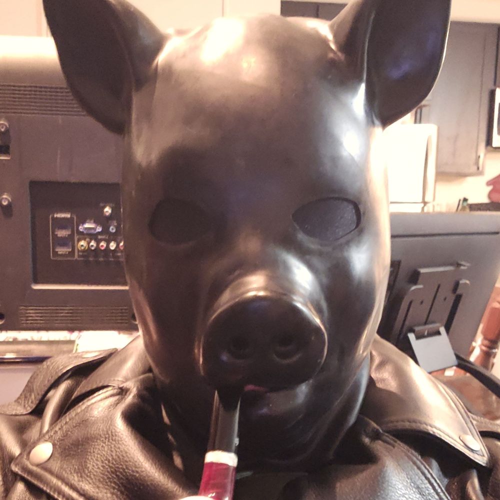 Daddy Swine