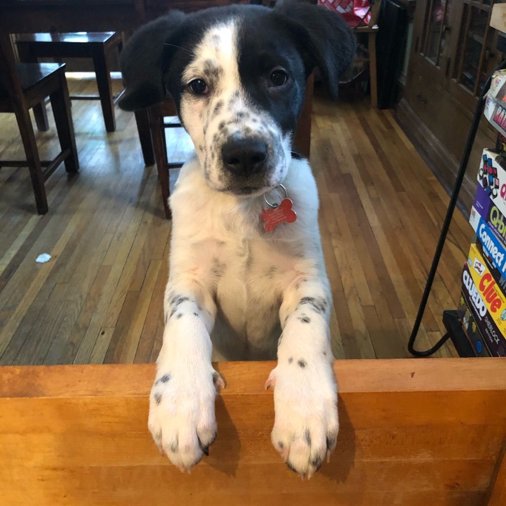  J, using all my senses