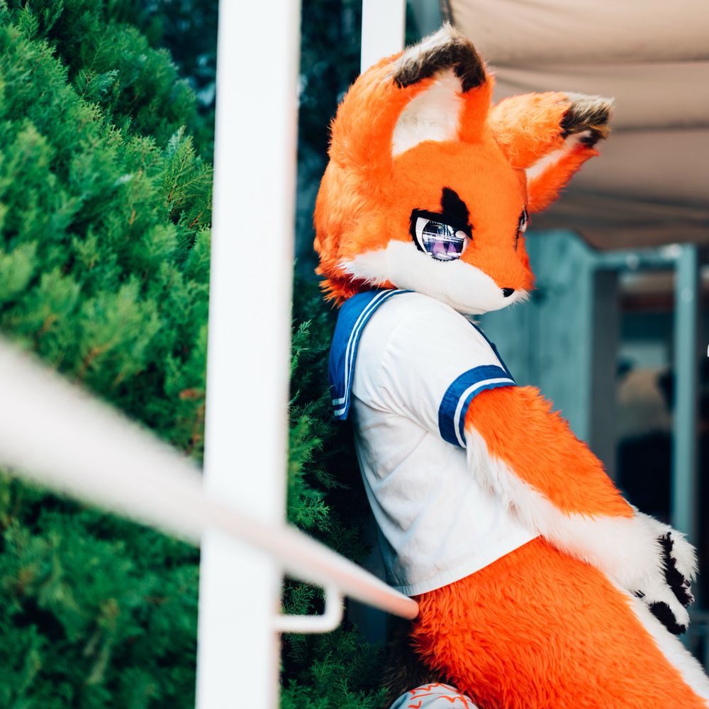 靈楓🦊れいふう