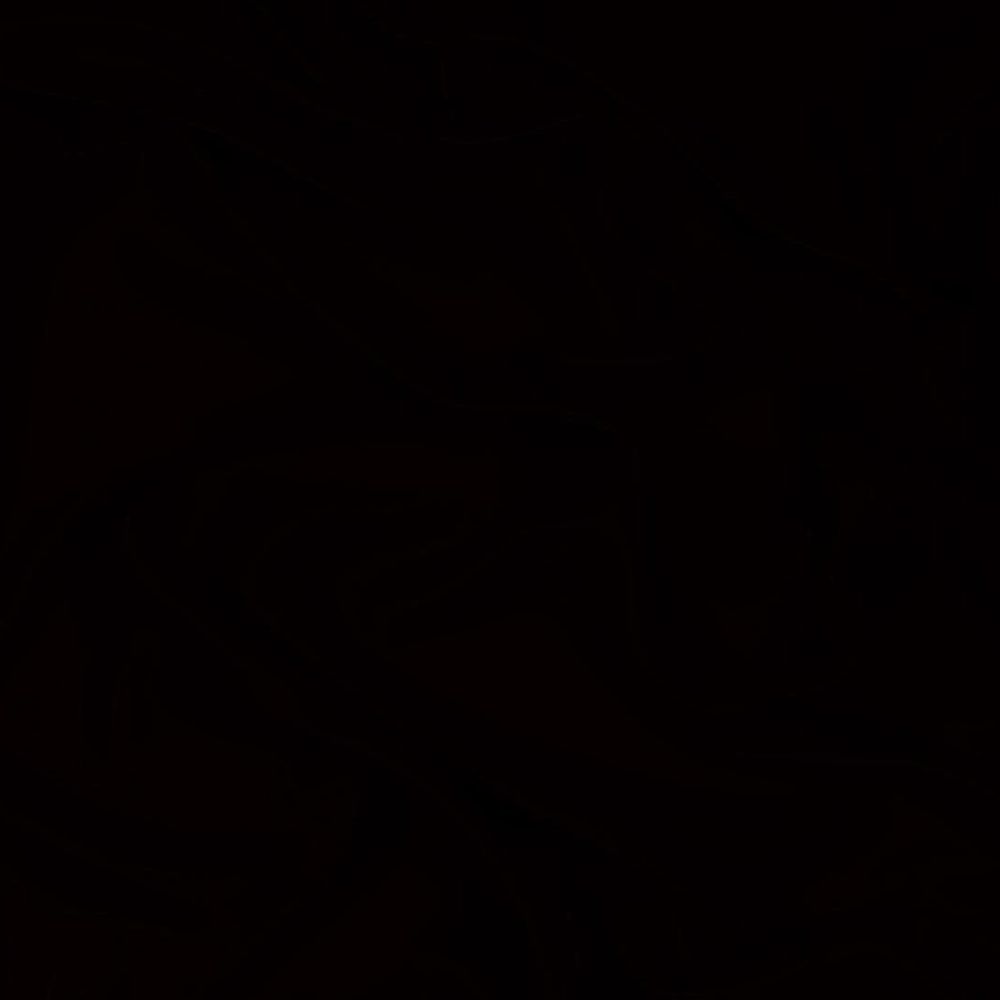 D2