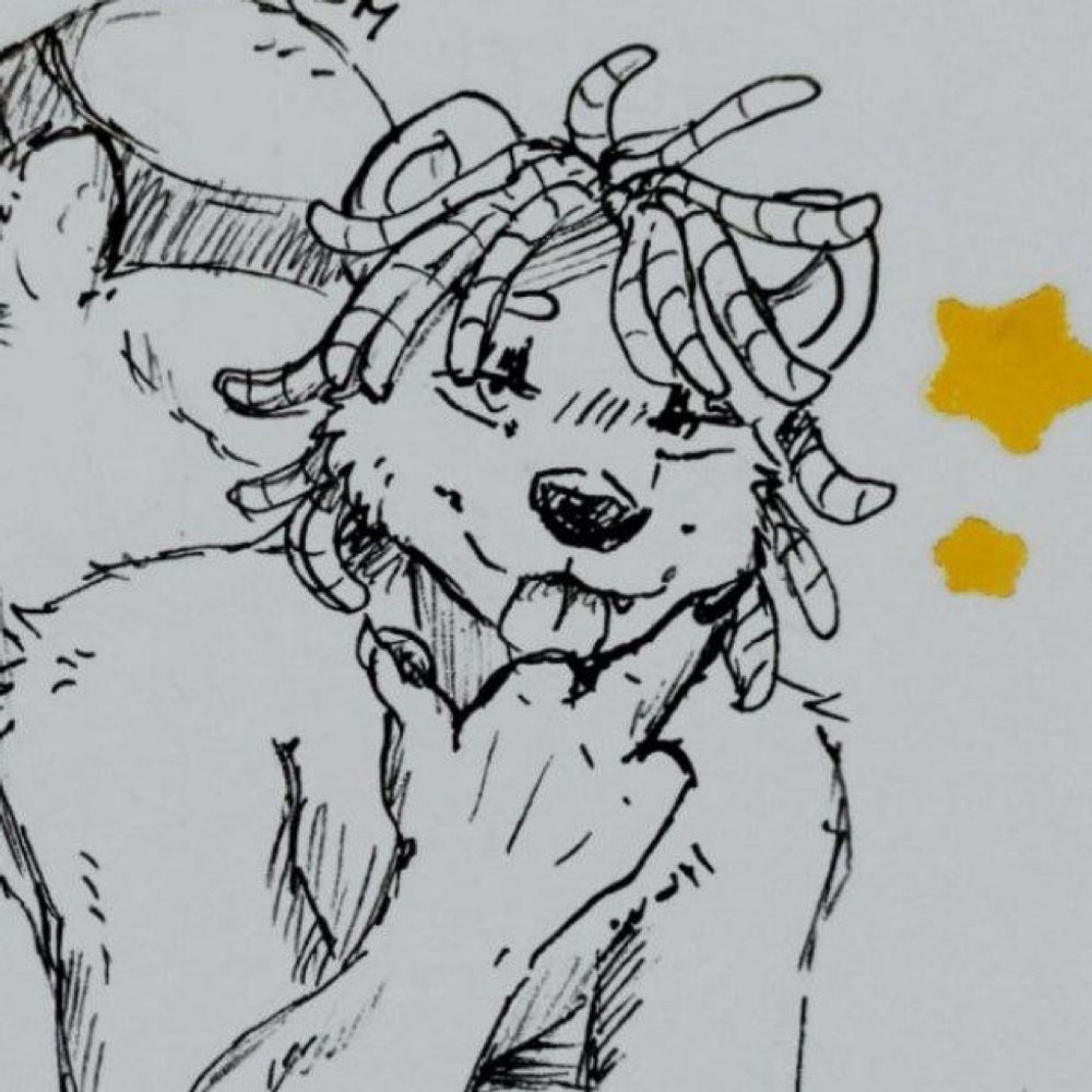Shirrydabear
