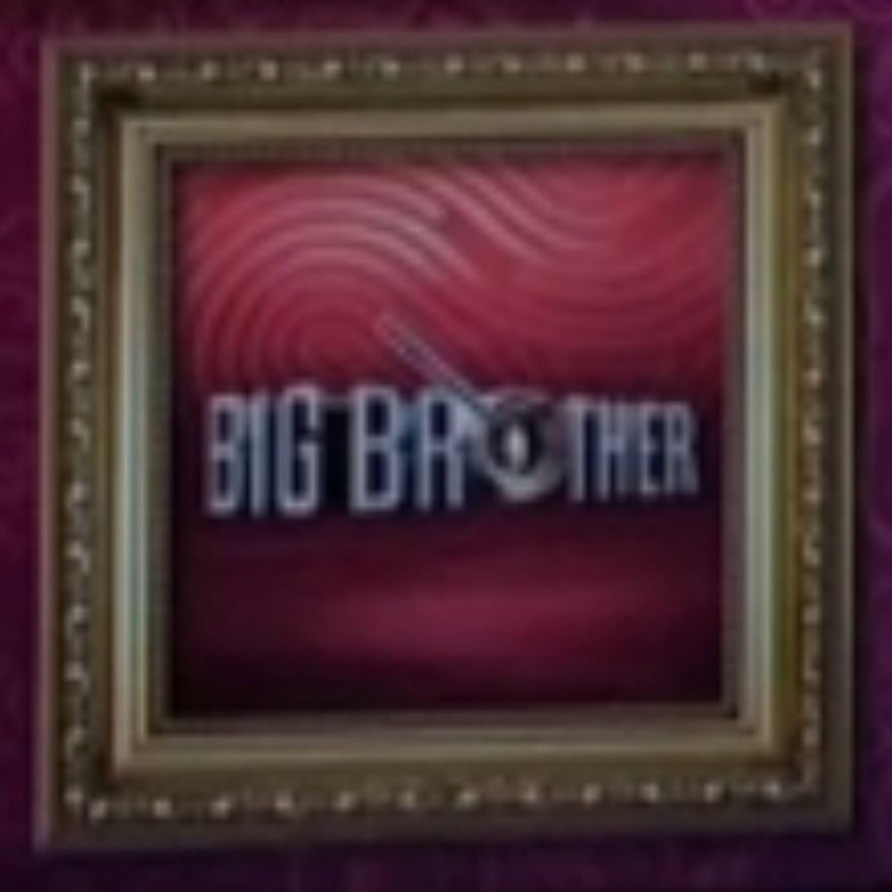 Big Brother Mystery Guest?!?