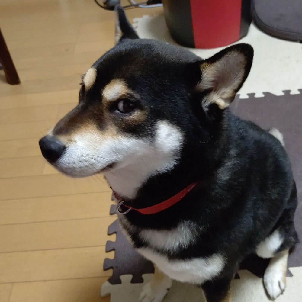 ペンチ～
