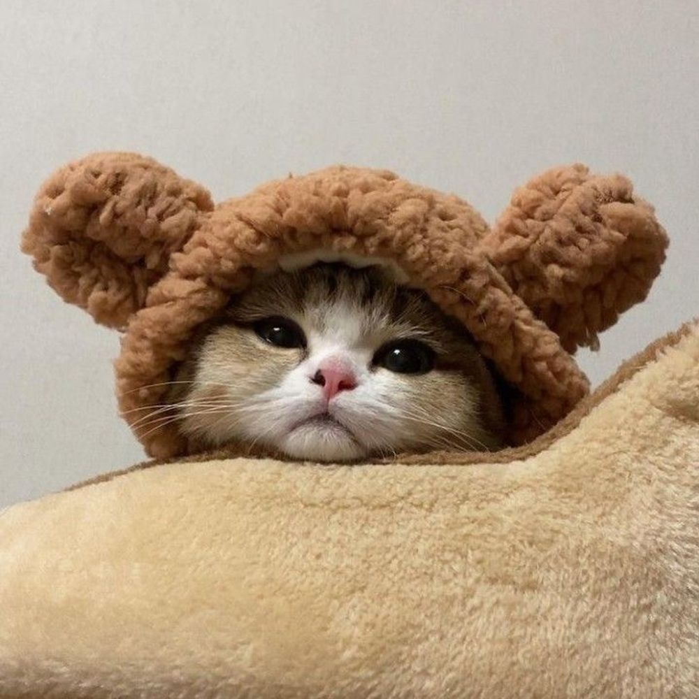 Eyaaaa
