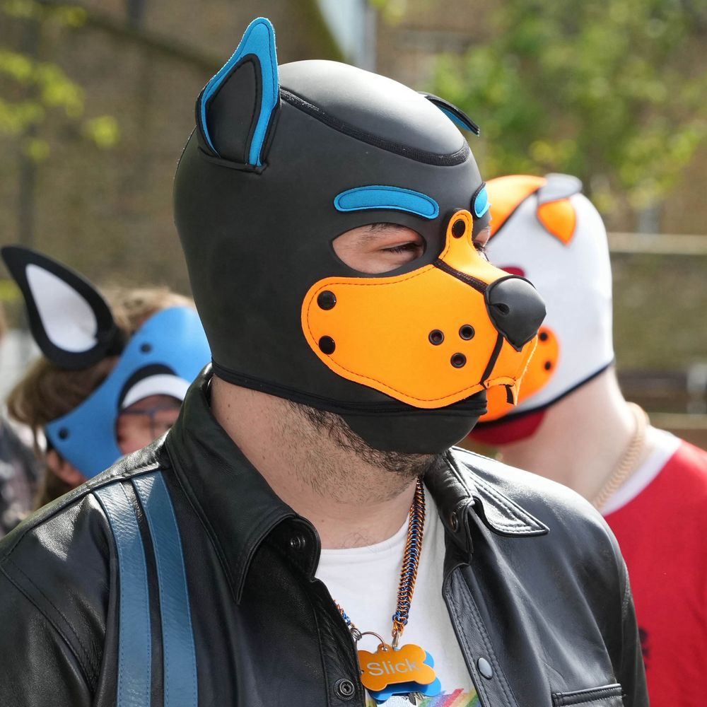 Pupper Slick