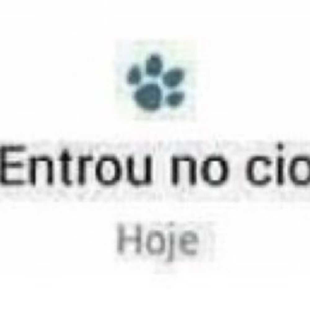 Fehzinho PSV