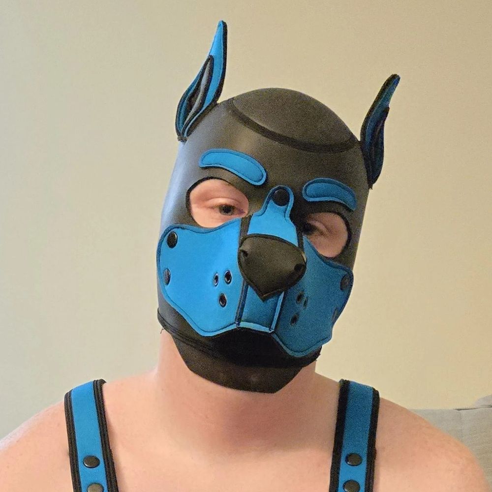 Pup Koju
