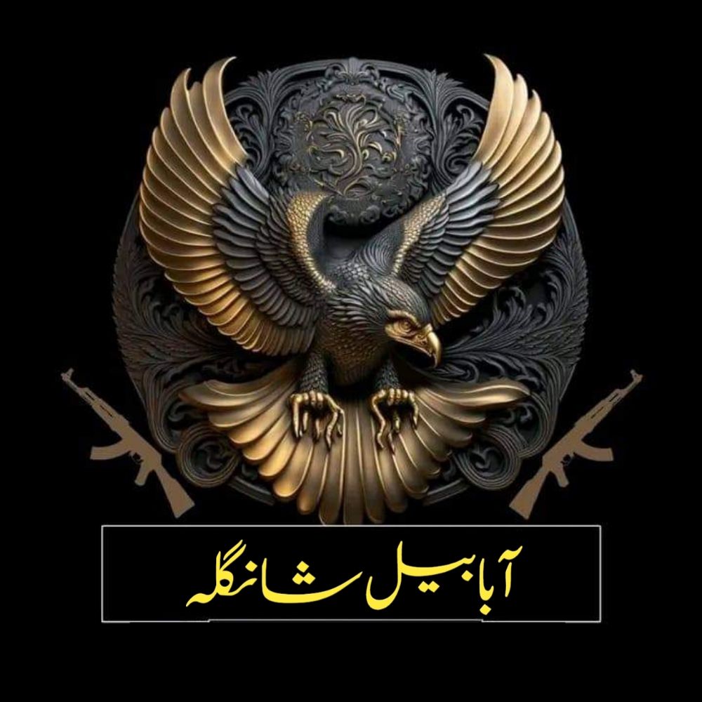 ابابیل شانگلہ ♥️