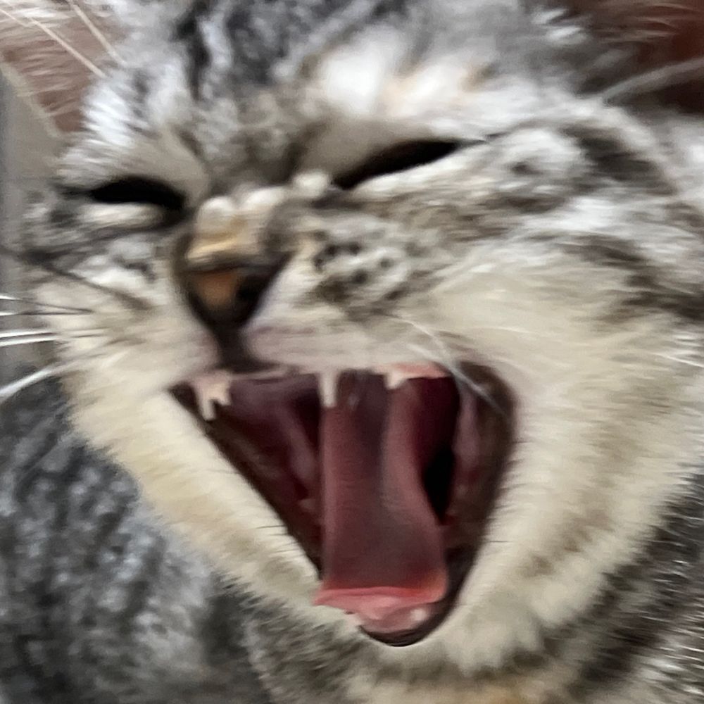 まのす