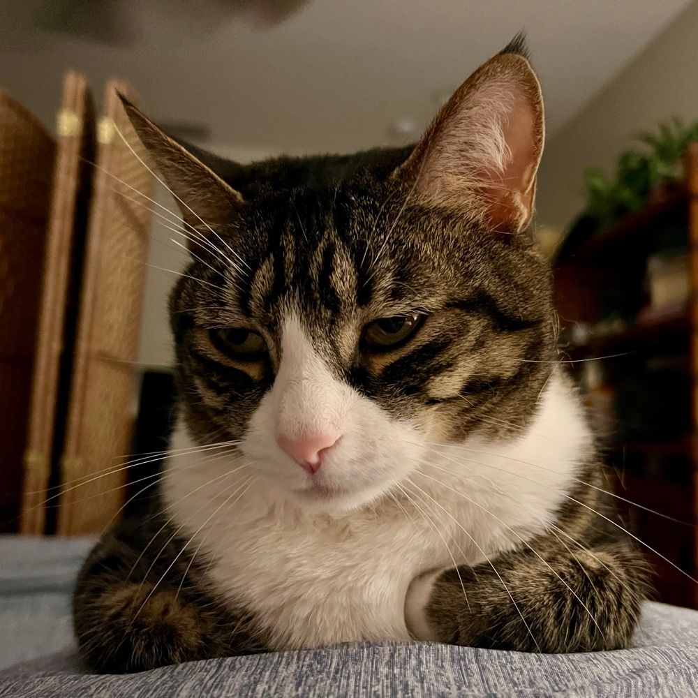 How can I help?