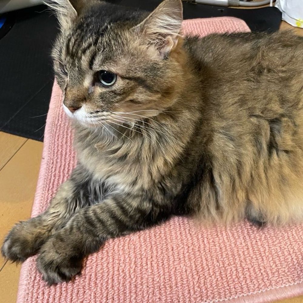 サニー
