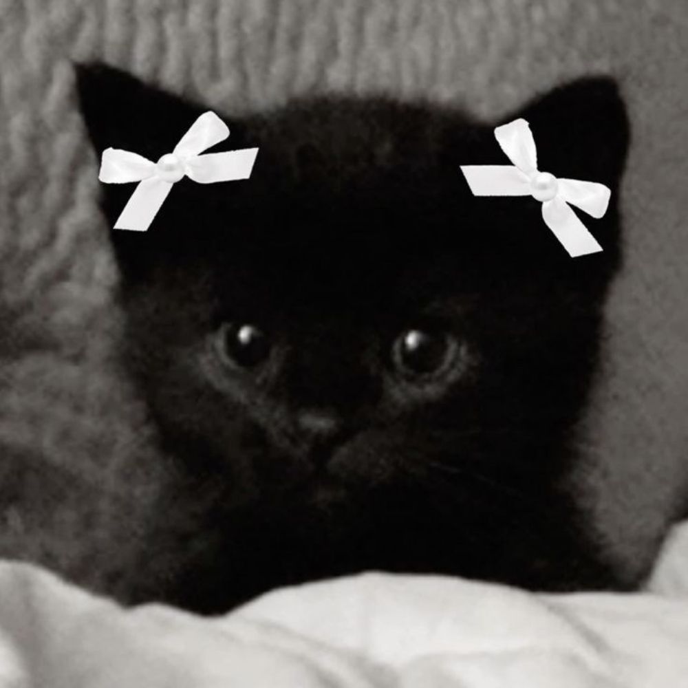 Ashie♡
