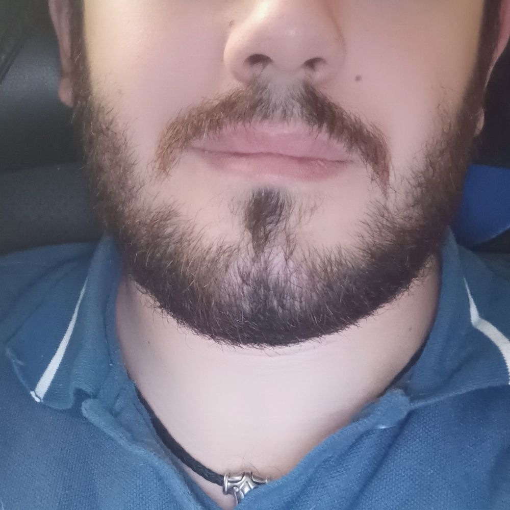 Dustin maximo