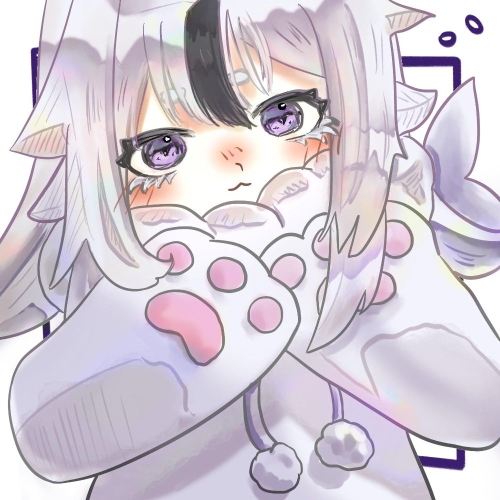 海豹君