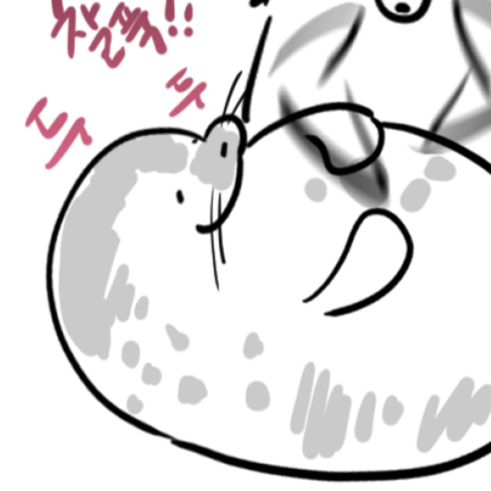 6월부터 스터디중 🦭물범 ℝ𝕦𝕚𝕏𝕚𝕒𝕟🦭