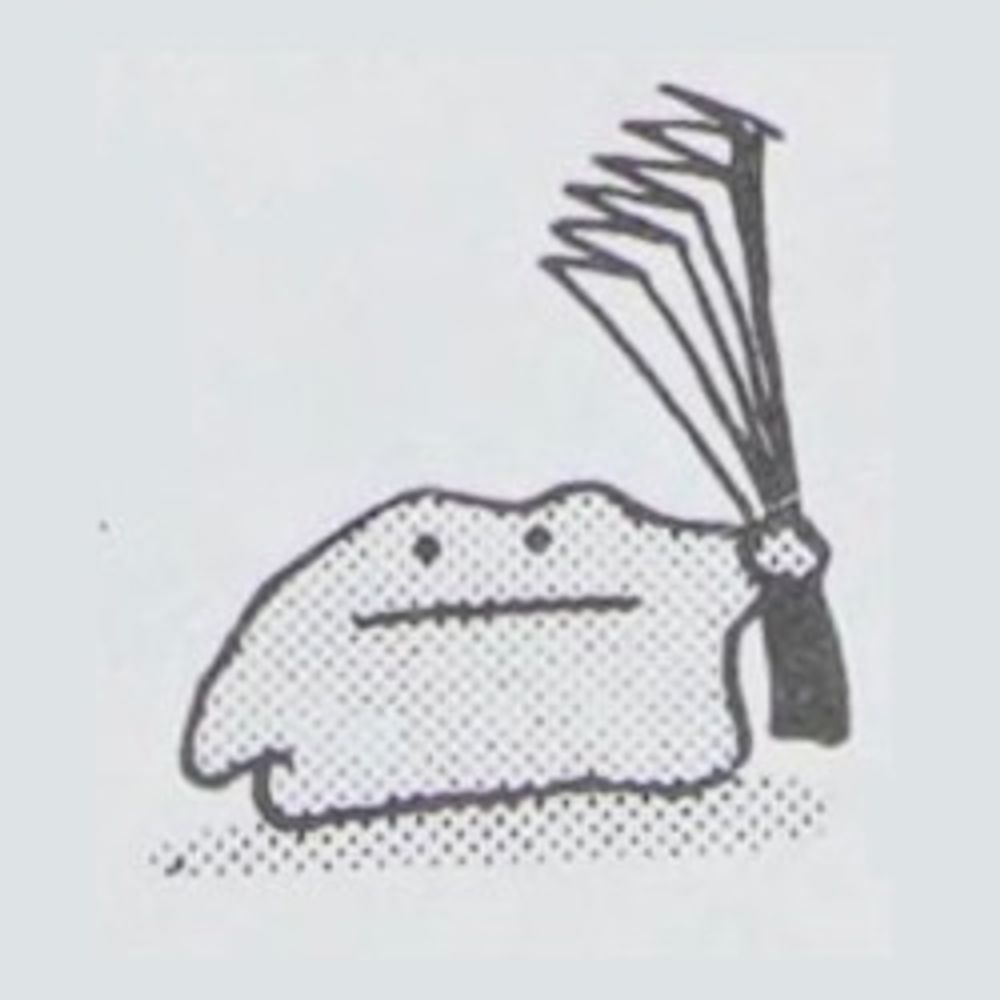 Little Pine 