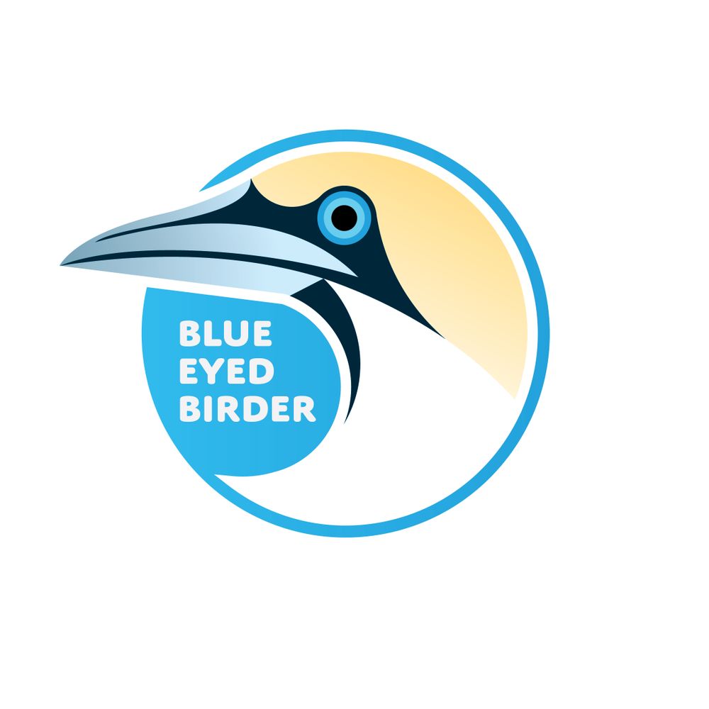 Howard Vaughan - blueeyedbirder.com