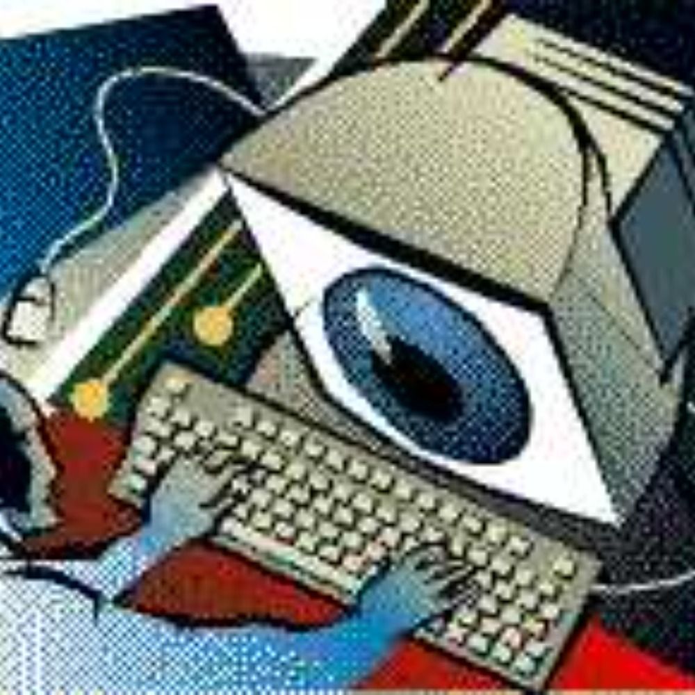 cops in cyberspace