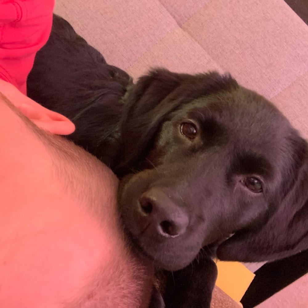 Ben