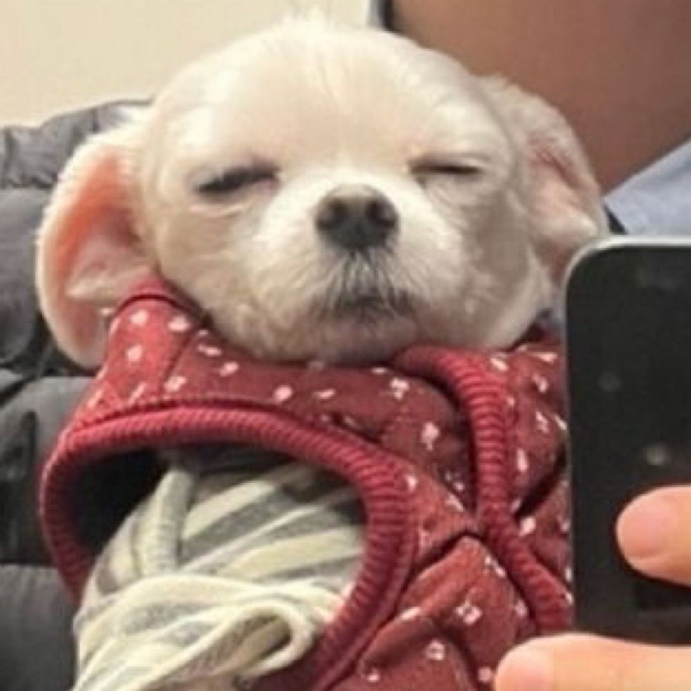 땨
