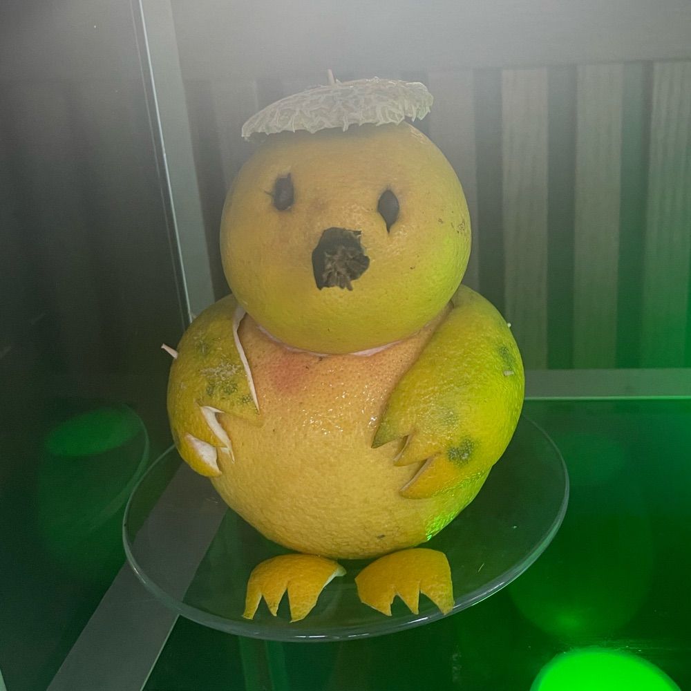 🫚🍞