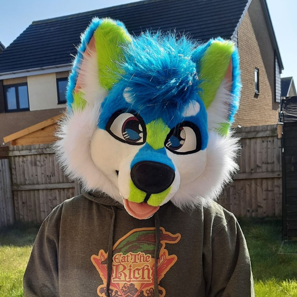 SplashHusky