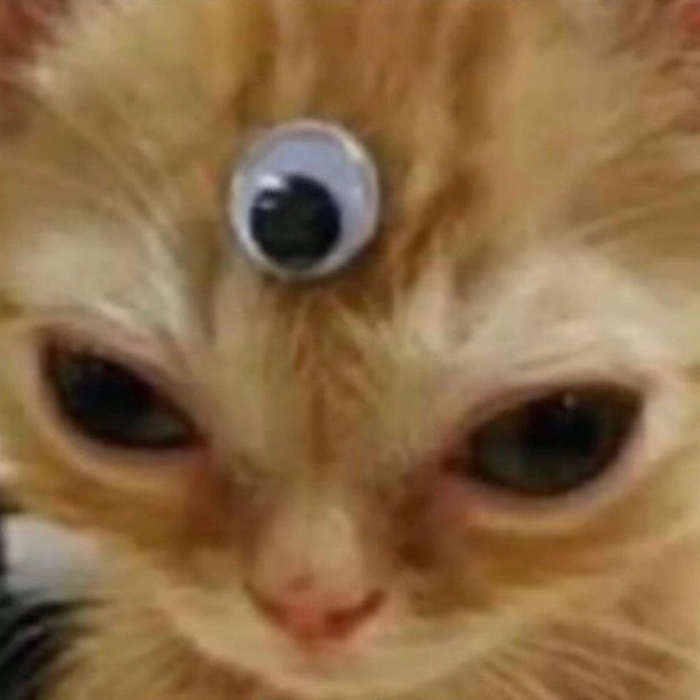 pequena evaᵉᵛᵃ