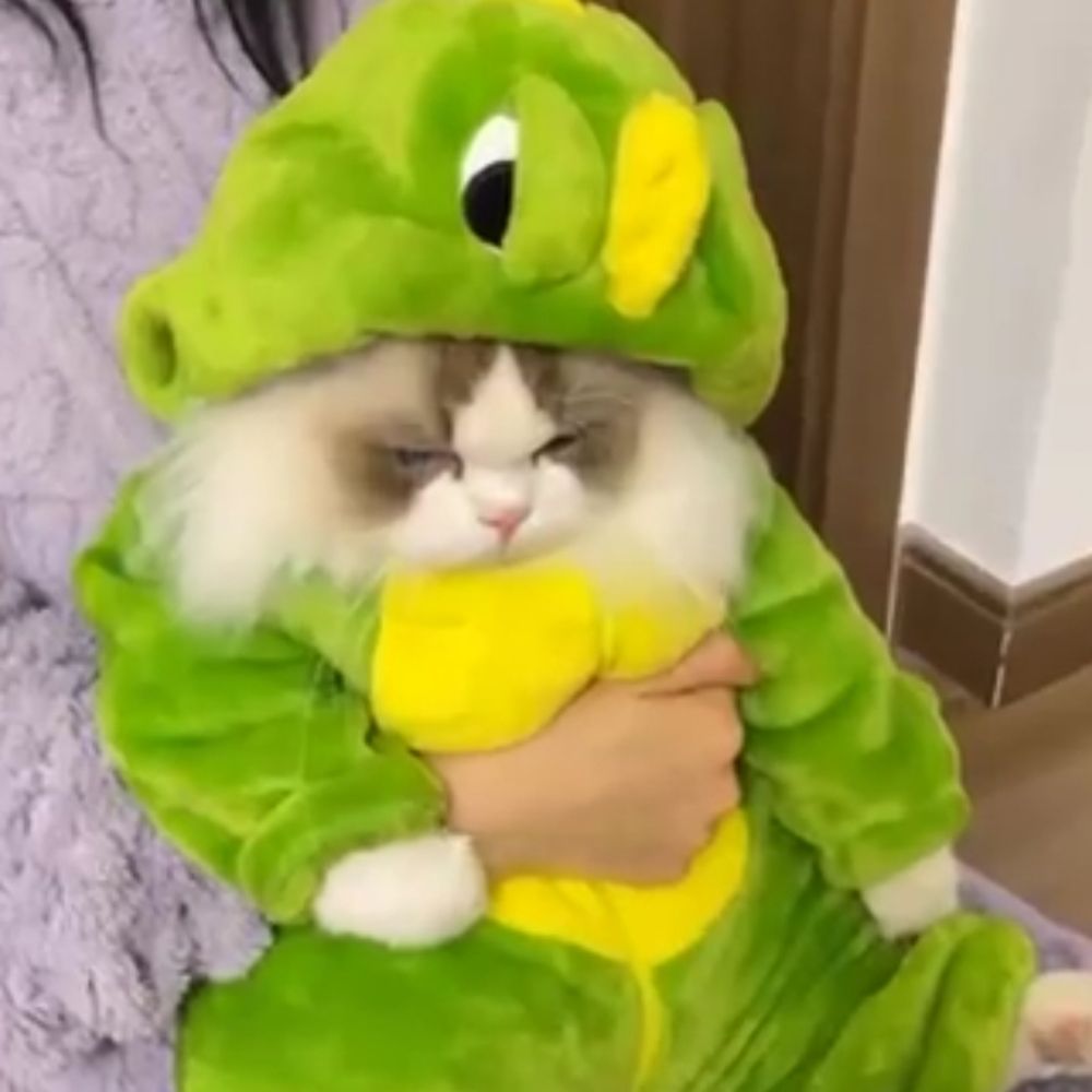 Dinogonii
