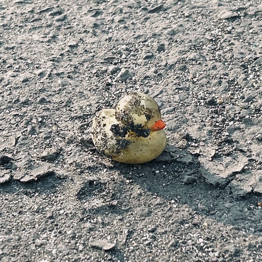 らうら