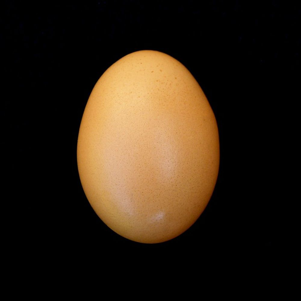 Egg Index