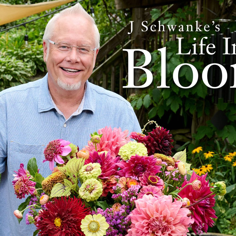 J Schwanke's Life in Bloom 