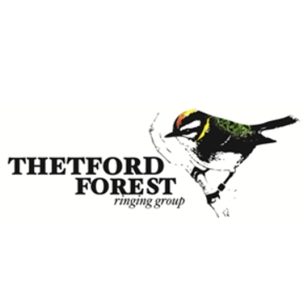 Thetford Forest Ringing Group