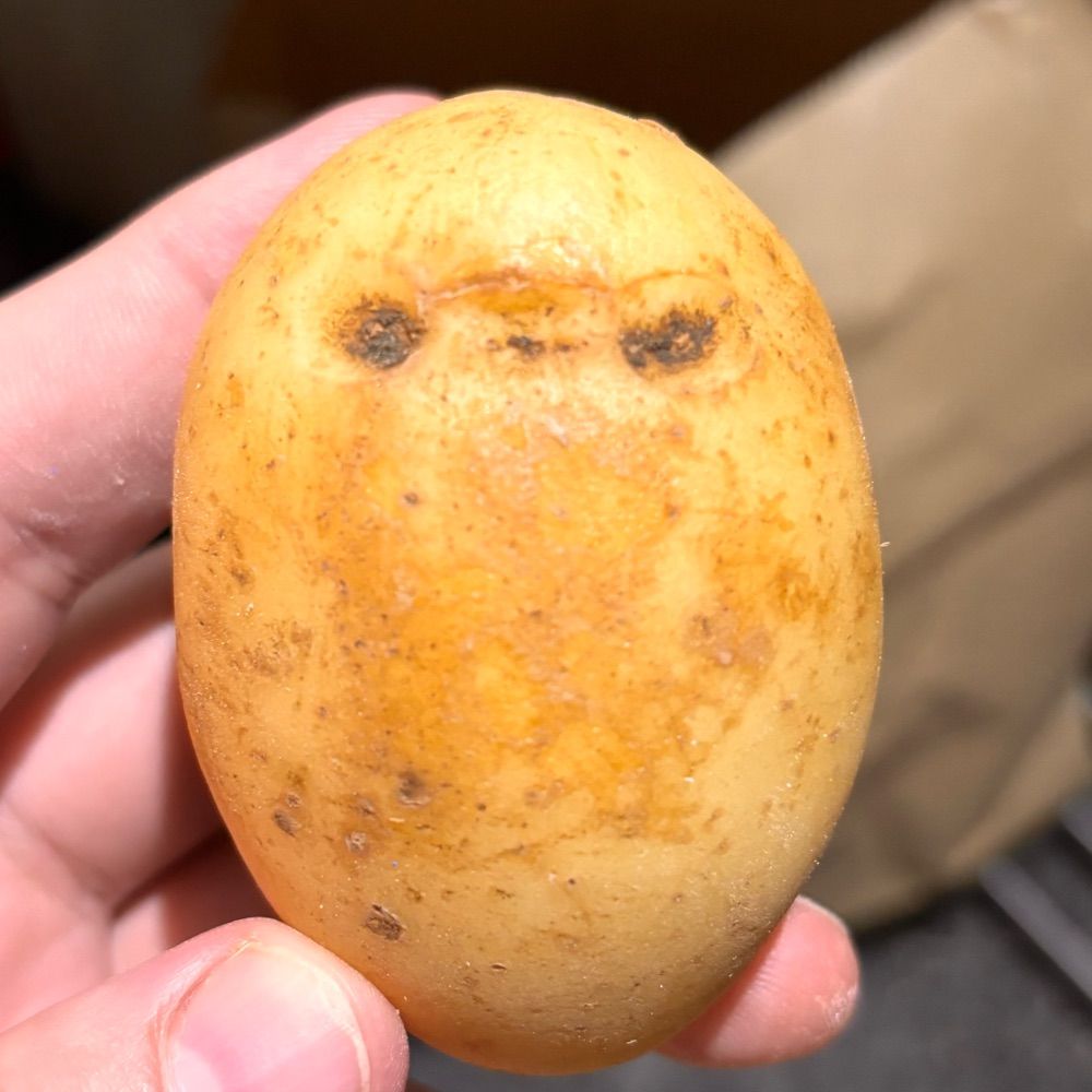 Nial MahGongle