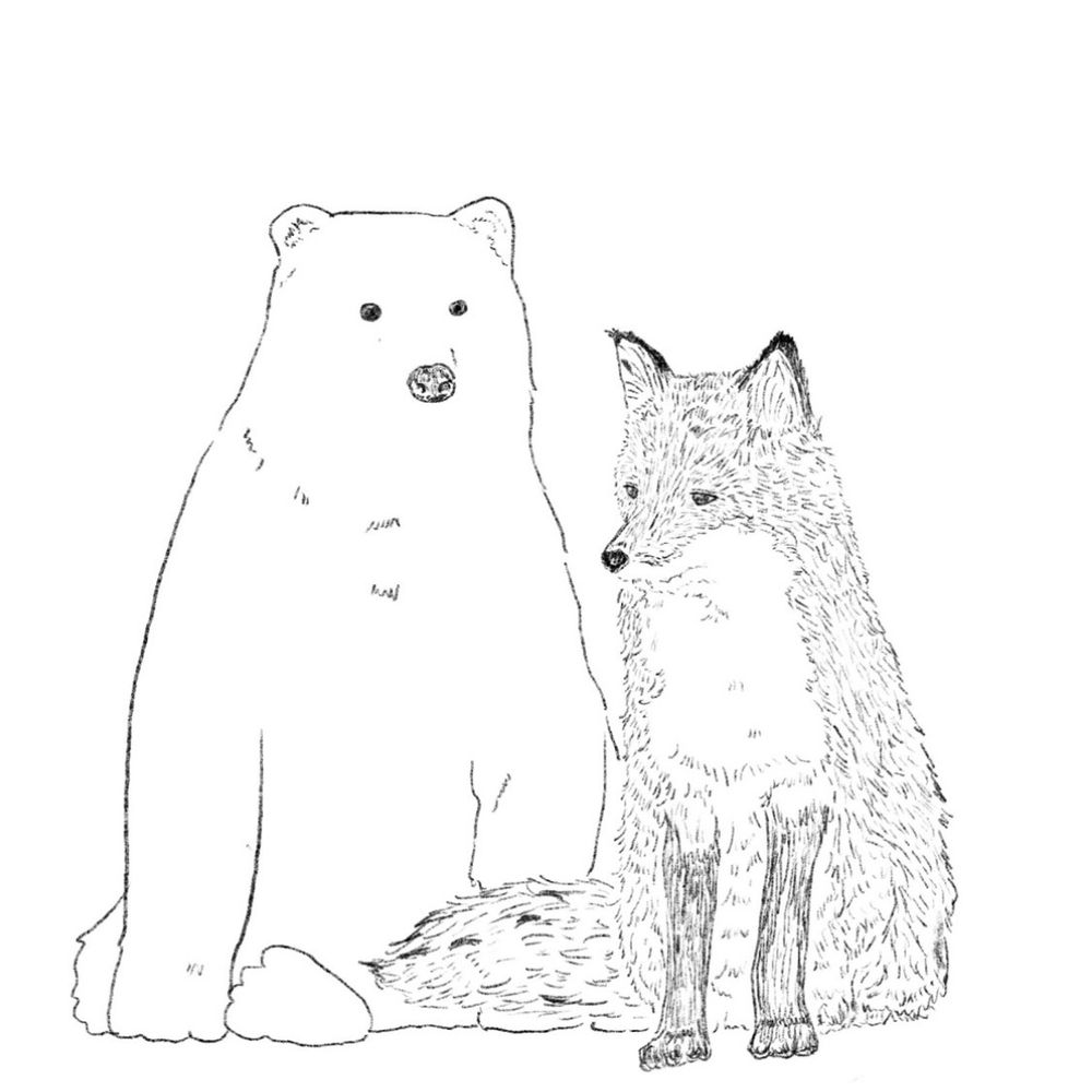 白くま