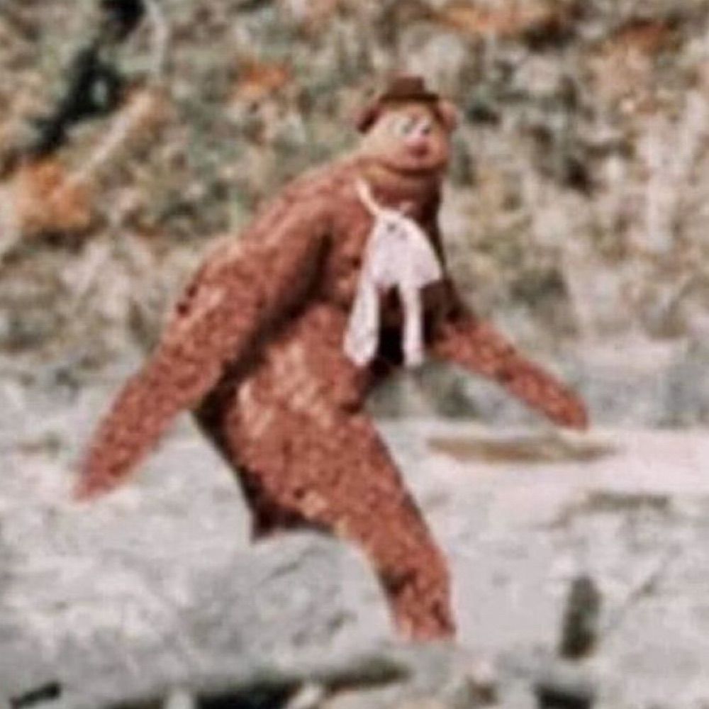 Scoobert Doo