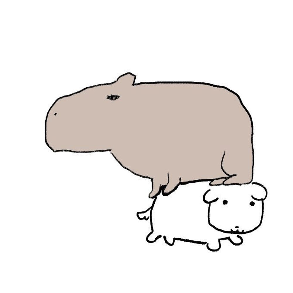 이호