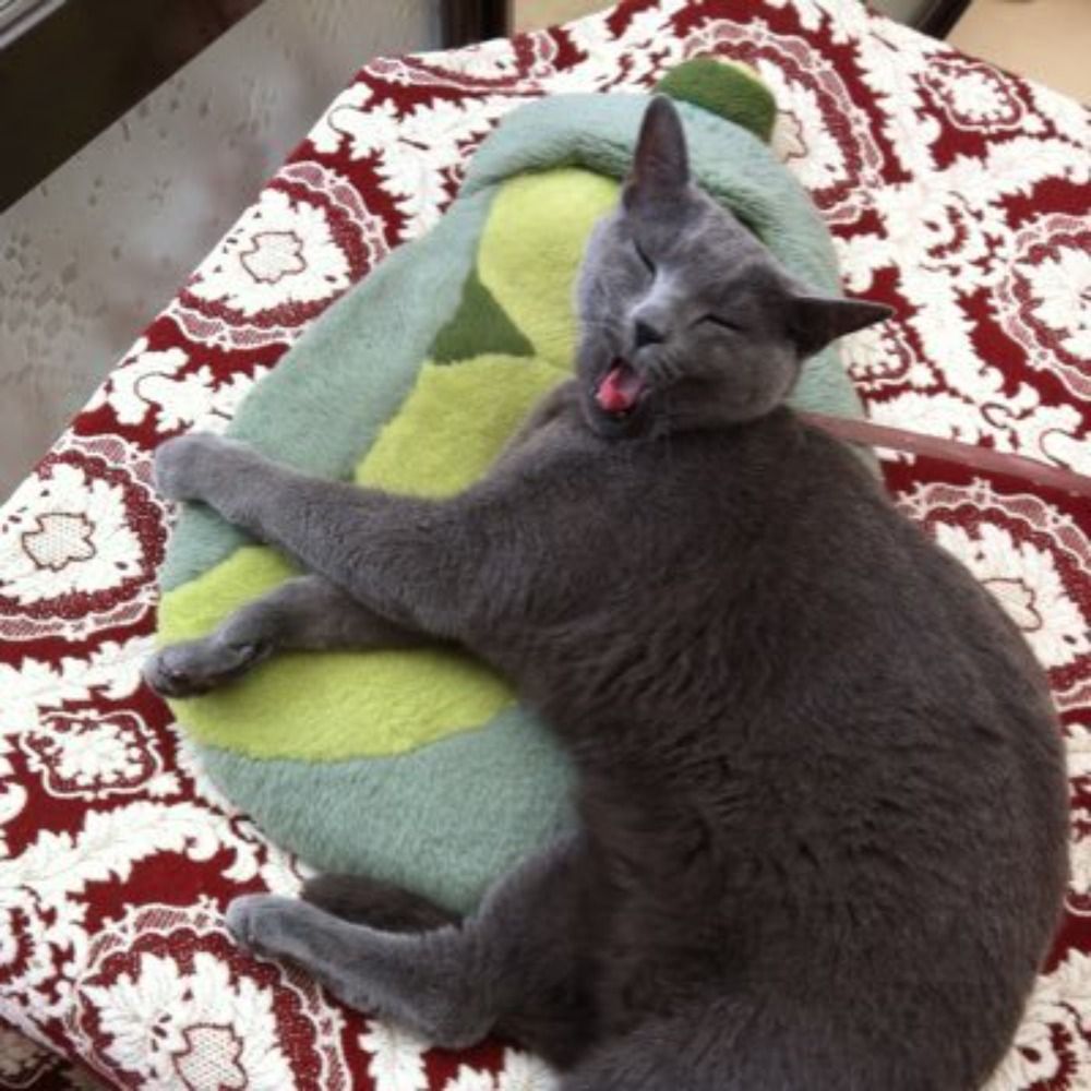むんす