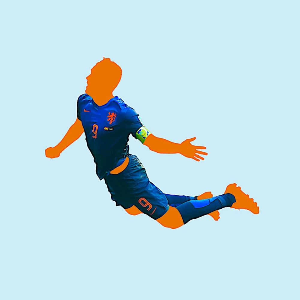 Robin van Shirtie