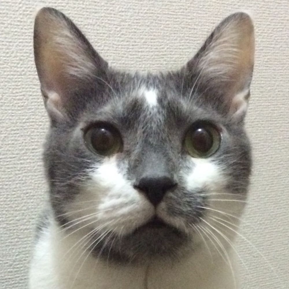 うどんタイマーP