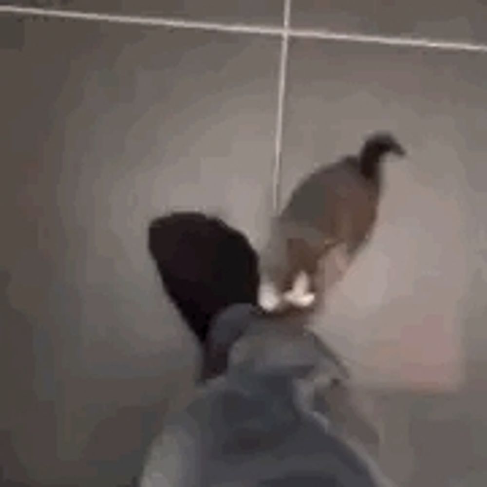 arg!!