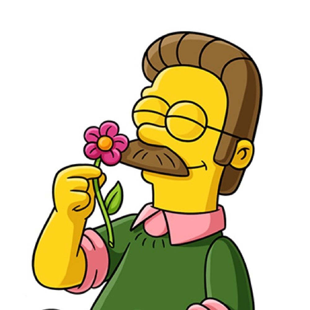 Ned Flanders 😊