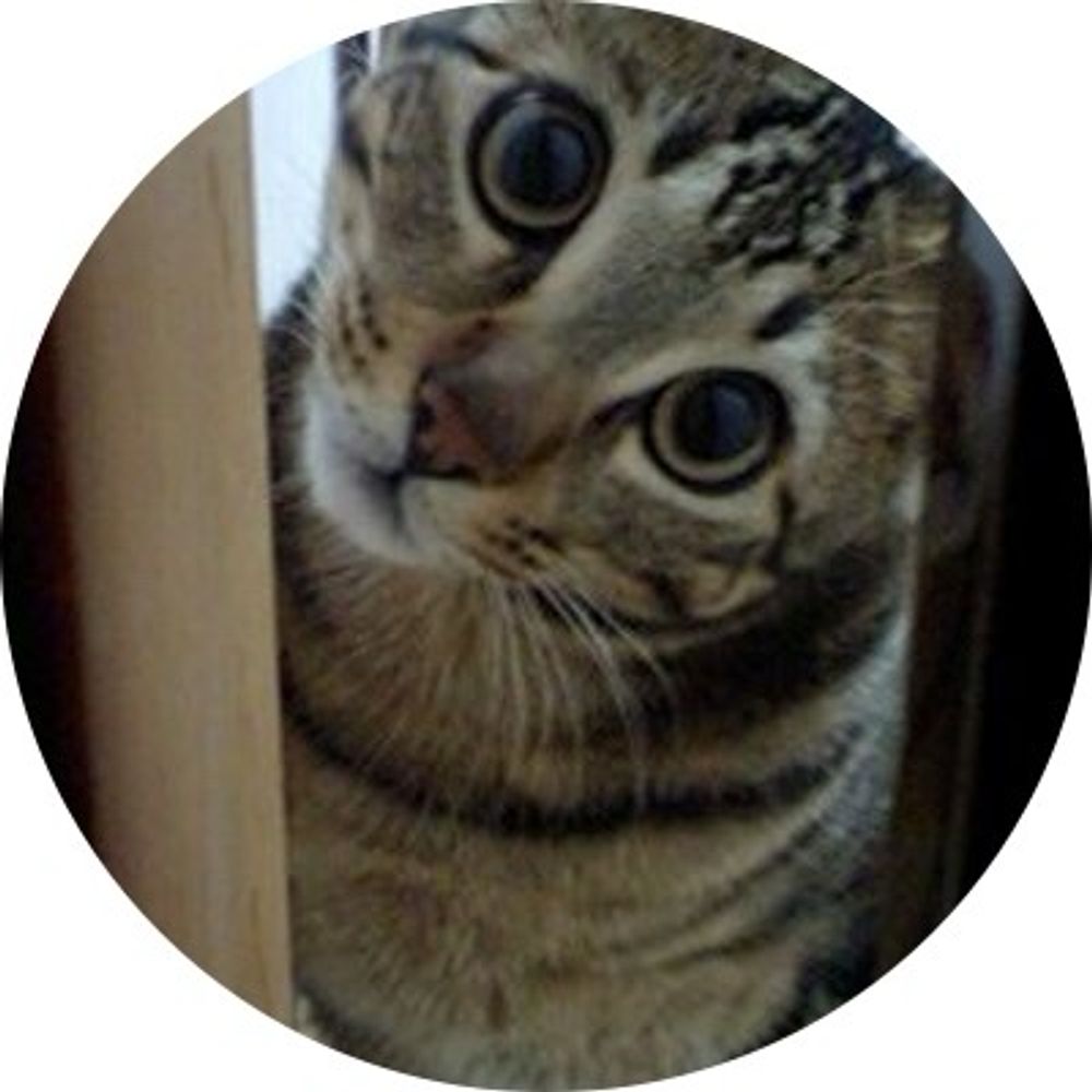 ちょこさく