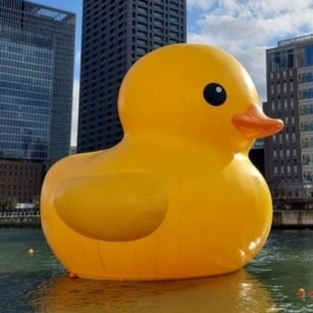 ゆずの